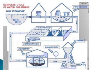 PURIFICATION AND TREATMENT OF WATER | PPT
