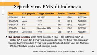 Sejarah virus PMK di Indonesia
Dua tipotipe Indonesia: Diberi nama Indonesia-1 (ISA-1) dan Indonesia-2 (ISA-2).
Topotipe ISA-1 terdiri dari 3 virus yang diisolasi pada 1962, 1974 dan 1983, sedangkan
topotipe ISA-2 mengandung 2 virus yang sangat terkait erat dengan virus dari 1972 dan
1974. Ke-2 topotype tersebut sudah dianggap punah.
Virus Asal geografis Tanggal ditemukan Spesies Topotipe Database
O/ISA/1/62 Bali Juli 1962 Sapi ISA-1 AJ303500
O/JAV/5/72 Jawa 1972 TD ISA-2 AJ303509
O/ISA/1/74 Bali 1974 Sapi ISA-2 AJ303501
O/ISA/974 Bali November 1974 Sapi ISA-1 AJ303502
O/ISA/8/83 Jawa Timur 1983 Sapi ISA-1 AJ303503
Sumber: Samuel and Knowles (2001). Journal of General Virology, 82, 609–621. 10
 