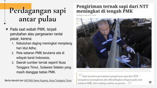 Perdagangan sapi
antar pulau
Pada saat wabah PMK, terjadi
perubahan atau pergesaran rantai
pasar, karena:
1. Kebutuhan daging meningkat menjelang
hari Idul Adha;
2. Peta sebaran PMK terutama ada di
wilayah barat Indonesia;
3. Daerah sumber ternak seperti Nusa
Tenggara Timur, Sulawesi Selatan yang
masih dianggap bebas PMK.
Berita diambil dari ANTARA News Kupang, Nusa Tenggara Timur
17
 