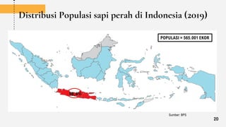Distribusi Populasi sapi perah di Indonesia (2019)
98,4%
POPULASI = 565.001 EKOR
Sumber: BPS
20
 