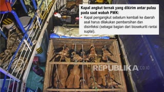 Kapal angkut ternak yang dikirim antar pulau
pada saat wabah PMK:
• Kapal pengangkut sebelum kembali ke daerah
asal harus dilakukan pembersihan dan
disinfeksi (sebagai bagian dari biosekuriti rantai
suplai).
 