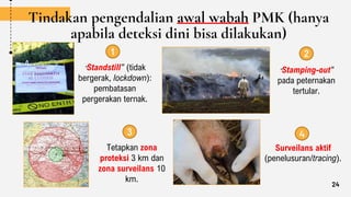 Tindakan pengendalian awal wabah PMK (hanya
apabila deteksi dini bisa dilakukan)
“Standstill” (tidak
bergerak, lockdown):
pembatasan
pergerakan ternak.
“Stamping-out”
pada peternakan
tertular.
Tetapkan zona
proteksi 3 km dan
zona surveilans 10
km.
Surveilans aktif
(penelusuran/tracing).
1 2
3 4
24
 
