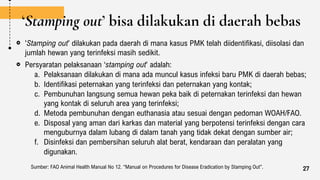 ‘Stamping out’ bisa dilakukan di daerah bebas
‘Stamping out’ dilakukan pada daerah di mana kasus PMK telah diidentifikasi, diisolasi dan
jumlah hewan yang terinfeksi masih sedikit.
Persyaratan pelaksanaan ‘stamping out’ adalah:
a. Pelaksanaan dilakukan di mana ada muncul kasus infeksi baru PMK di daerah bebas;
b. Identifikasi peternakan yang terinfeksi dan peternakan yang kontak;
c. Pembunuhan langsung semua hewan peka baik di peternakan terinfeksi dan hewan
yang kontak di seluruh area yang terinfeksi;
d. Metoda pembunuhan dengan euthanasia atau sesuai dengan pedoman WOAH/FAO.
e. Disposal yang aman dari karkas dan material yang berpotensi terinfeksi dengan cara
menguburnya dalam lubang di dalam tanah yang tidak dekat dengan sumber air;
f. Disinfeksi dan pembersihan seluruh alat berat, kendaraan dan peralatan yang
digunakan.
Sumber: FAO Animal Health Manual No 12. “Manual on Procedures for Disease Eradication by Stamping Out”. 27
 