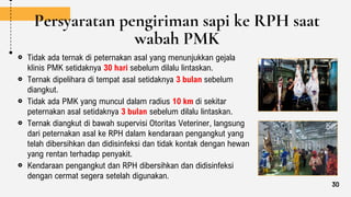 Persyaratan pengiriman sapi ke RPH saat
wabah PMK
Tidak ada ternak di peternakan asal yang menunjukkan gejala
klinis PMK setidaknya 30 hari sebelum dilalu lintaskan.
Ternak dipelihara di tempat asal setidaknya 3 bulan sebelum
diangkut.
Tidak ada PMK yang muncul dalam radius 10 km di sekitar
peternakan asal setidaknya 3 bulan sebelum dilalu lintaskan.
Ternak diangkut di bawah supervisi Otoritas Veteriner, langsung
dari peternakan asal ke RPH dalam kendaraan pengangkut yang
telah dibersihkan dan didisinfeksi dan tidak kontak dengan hewan
yang rentan terhadap penyakit.
Kendaraan pengangkut dan RPH dibersihkan dan didisinfeksi
dengan cermat segera setelah digunakan.
30
 