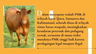 alam merespons wabah PMK di
wilayah barat (Jawa, Sumatera dan
Kalimantan), seluruh dinas di wilayah
timur harus waspada, meningkatkan
kesadaran peternak dan pedagang
ternak, terutama di mana risiko
masuknya PMK tinggi baik karena
perdagangan legal maupun ilegal.
D
 