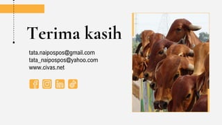 Terima kasih
tata.naipospos@gmail.com
tata_naipospos@yahoo.com
www.civas.net
 