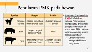 Penularan PMK pada hewan
● Pembawa (carrier) virus
PMK didefinisikan
sebagai “hewan yang
sembuh atau divaksinasi
yang telah terpapar, di
mana virus PMK bertahan
dalam nasofaring selama
lebih dari 28 hari.”
– Carrier berpotensi
menginfeksi hewan
yang rentan.
Spesies Hospes Carrier
Kambing
Domba
Hospes pemelihara
(maintenance host)
Jaringan faringeal
4 – 6 bulan
Babi
Hospes penguat
(amplifier host)
Tidak
Sapi
Indikator penyakit
(indicator host)
Jaringan faringeal
6 – 24 bulan
5
 