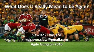 What Does It Really Mean to be Agile?
Siew Kok Ewe, CST
kok.ewe.siew@gmail.com
Agile Gurgaon 2016
 