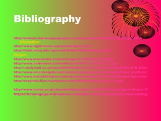 Bibliography http://animals.nationalgeographic.com/animals/mammals/bengal-tiger.html   Information http:// www.tigerhomes.org/animal/tigers.cfm http://frank.mtsu.edu/~jpurcell/Walker/Wildlife/tigers.html Images http://www.biocrawler.com/w/images/c/c5/BengalTiger.jpg http://www.earthweek.com/online/ew070511/ew070511c.jpg http://i.dailymail.co.uk/i/pix/2009/09/28/article-0-069C9F32000005DC-218_634x938.jpg http://www.solarnavigator.net/animal_kingdom/animal_images/Tiger_panthera_tigris_tigris_Bengal.jpg http://www.bestofalltopics.com/wp-content/uploads/2010/02/Bengal-tiger-cubs.jpg http://shoyinka.files.wordpress.com/2009/02/bengal_tiger_31.jpg http://www.iamas.ac.jp/class/dw/blog/assets_c/2009/05/Bengal-tigers-Raja-a-16-y-001-thumb-500x609-83.jpg https://bcsengage.wikispaces.com/file/view/bengal-tigers-two-cubs.jpg/52139275/bengal-tigers-two-cubs.jpg l 