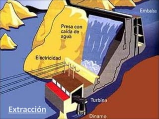 Extracción 