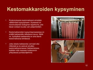 Kestomakkaroiden kypsyminen   Ruiskutuksesta kestomakkarat siirretään välittömästi kypsytykseen. Kyseessä on monimutkainen biologinen tapahtuma, jota tässä voidaan kuvata vain pääpiirteittäin. Kestomakkaroiden kypsymisprosessissa on eräillä bakteereilla ratkaiseva osuus. Näitä ns. hyödyllisiä bakteereita on aina läsnä kestomakkaraa tehtäessä.  Jotta oikeita bakteereita varmasti olisi riittävästi ja ne saisivat ylivallan kestomakkaramassan bakteeristossa, lisätään niitä massaan kutteroinnin yhteydessä puhdasviljelminä. 