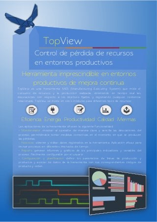 Topview-control de perdidas MES