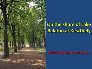 On the shore of Lake Balaton at Keszthely Photographed by Ivan Szedo 
