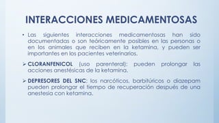 INTERACCIONES MEDICAMENTOSAS
• Las siguientes interacciones medicamentosas han sido
documentadas o son teóricamente posibles en las personas o
en los animales que reciben en la ketamina, y pueden ser
importantes en los pacientes veterinarios.
 CLORANFENICOL (uso parenteral): pueden prolongar las
acciones anestésicas de la ketamina.
 DEPRESORES DEL SNC: los narcóticos, barbitúricos o diazepam
pueden prolongar el tiempo de recuperación después de una
anestesia con ketamina.
 
