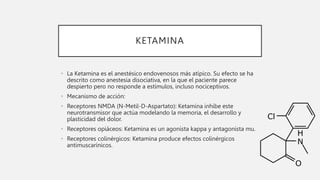 KETAMINA
• La Ketamina es el anestésico endovenosos más atípico. Su efecto se ha
descrito como anestesia disociativa, en la que el paciente parece
despierto pero no responde a estímulos, incluso nociceptivos.
• Mecanismo de acción:
• Receptores NMDA (N-Metil-D-Aspartato): Ketamina inhibe este
neurotransmisor que actúa modelando la memoria, el desarrollo y
plasticidad del dolor.
• Receptores opiáceos: Ketamina es un agonista kappa y antagonista mu.
• Receptores colinérgicos: Ketamina produce efectos colinérgicos
antimuscarínicos.
 