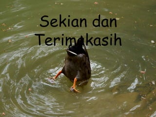 Sekian dan
Terimakasih

 