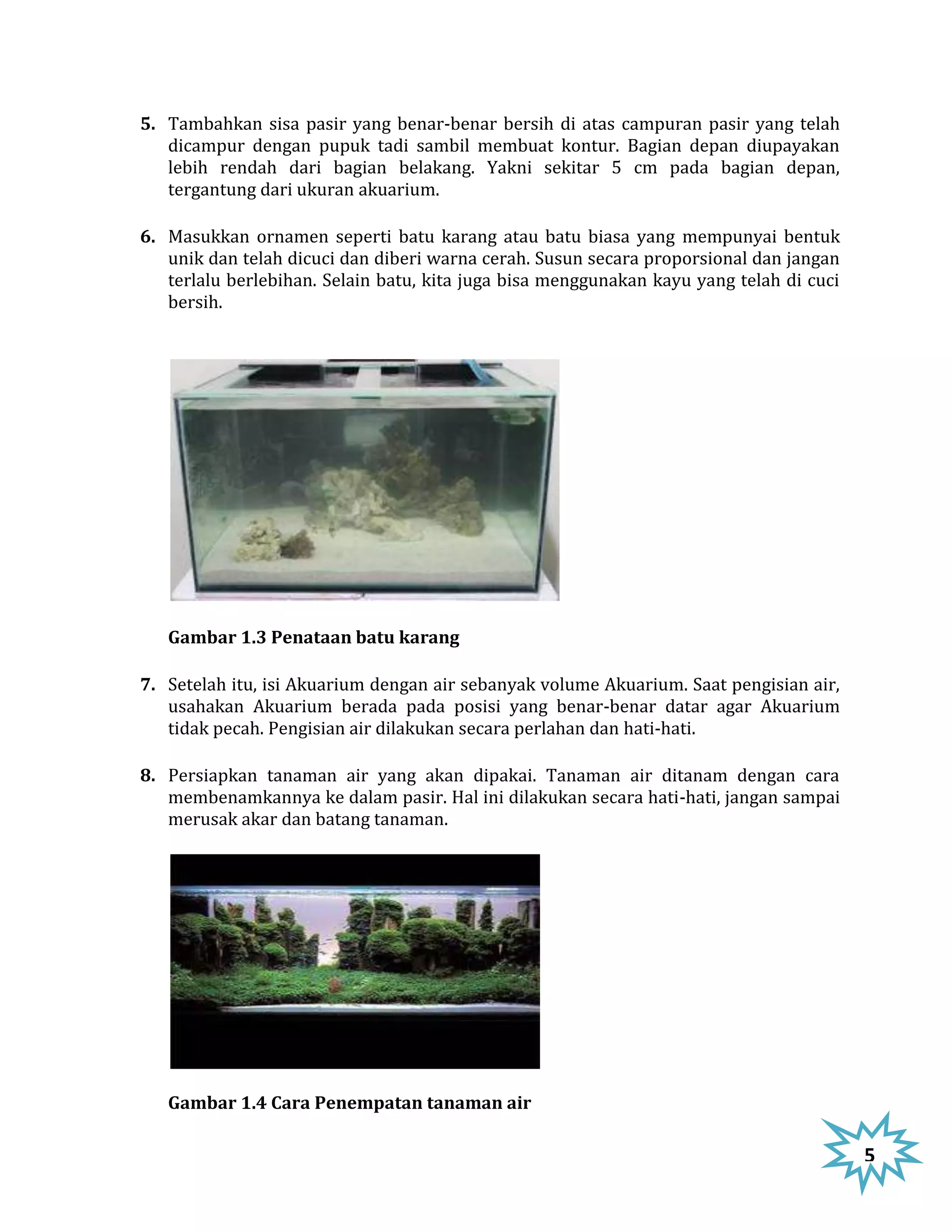 5. Tambahkan sisa pasir yang benar-benar bersih di atas campuran pasir yang telah
   dicampur dengan pupuk tadi sambil membuat kontur. Bagian depan diupayakan
   lebih rendah dari bagian belakang. Yakni sekitar 5 cm pada bagian depan,
   tergantung dari ukuran akuarium.

6. Masukkan ornamen seperti batu karang atau batu biasa yang mempunyai bentuk
   unik dan telah dicuci dan diberi warna cerah. Susun secara proporsional dan jangan
   terlalu berlebihan. Selain batu, kita juga bisa menggunakan kayu yang telah di cuci
   bersih.




   Gambar 1.3 Penataan batu karang

7. Setelah itu, isi Akuarium dengan air sebanyak volume Akuarium. Saat pengisian air,
   usahakan Akuarium berada pada posisi yang benar-benar datar agar Akuarium
   tidak pecah. Pengisian air dilakukan secara perlahan dan hati-hati.

8. Persiapkan tanaman air yang akan dipakai. Tanaman air ditanam dengan cara
   membenamkannya ke dalam pasir. Hal ini dilakukan secara hati-hati, jangan sampai
   merusak akar dan batang tanaman.




   Gambar 1.4 Cara Penempatan tanaman air

                                                                                         5
 