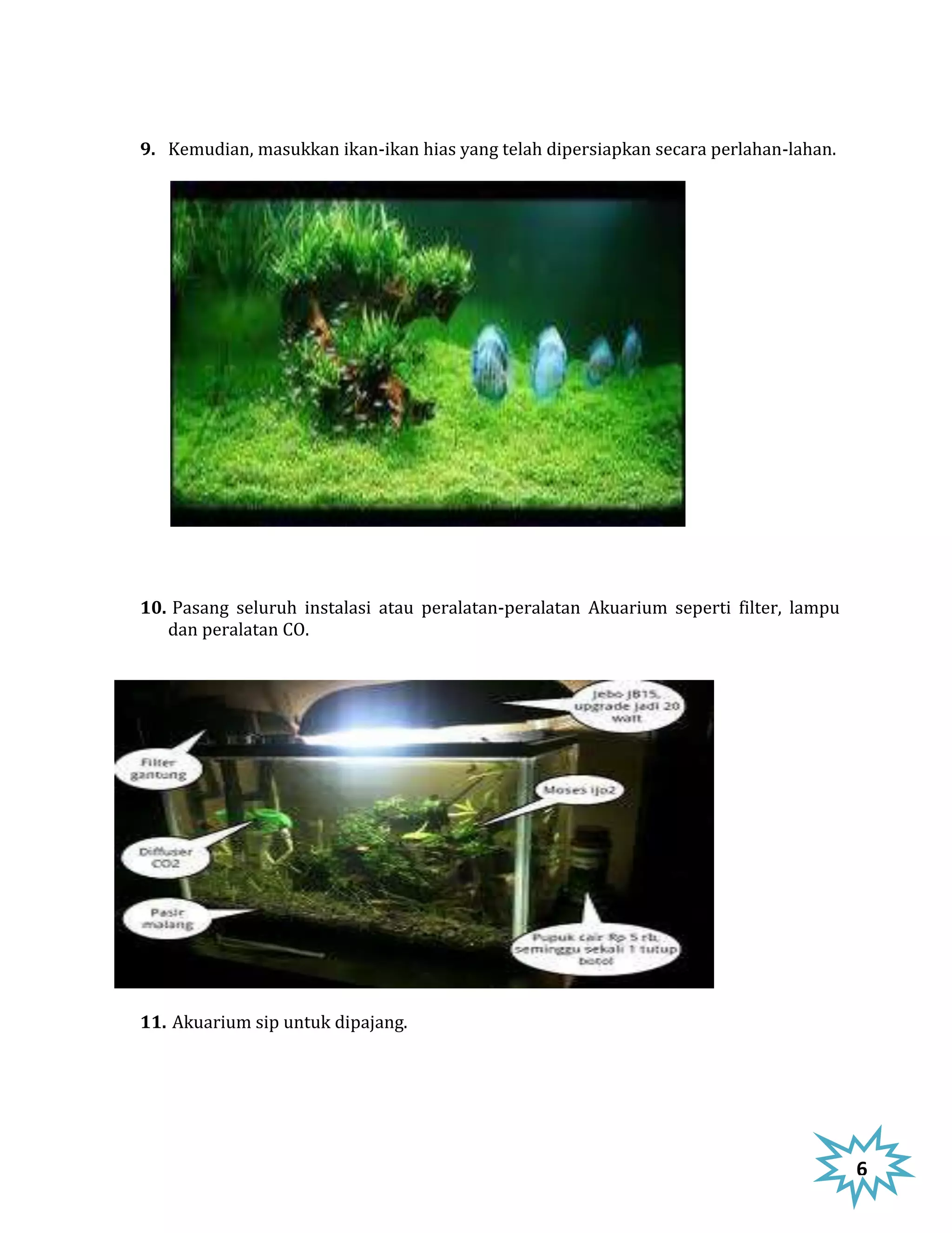 9. Kemudian, masukkan ikan-ikan hias yang telah dipersiapkan secara perlahan-lahan.




10. Pasang seluruh instalasi atau peralatan-peralatan Akuarium seperti filter, lampu
   dan peralatan CO.




11. Akuarium sip untuk dipajang.




                                                                                       6
                                                                                       5
 