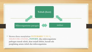 Tubuh (host)
infeksiMikroorganisme patogen
• Sketma diatas menjelaskan INTERAKSI TUBUH,
MIKROORGANISME, INFEKSI. Jika mikroorganisme
pathogen masuk tubuh, akan terjadi infeksi, kecuali ada
penghalang antara tubuh dan mikroorganisme.
 