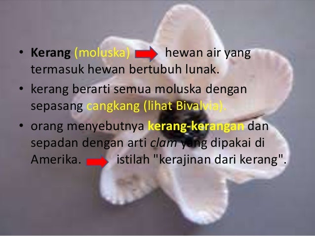 Keterampilan kulit kerang Keterampilan kulit kerang