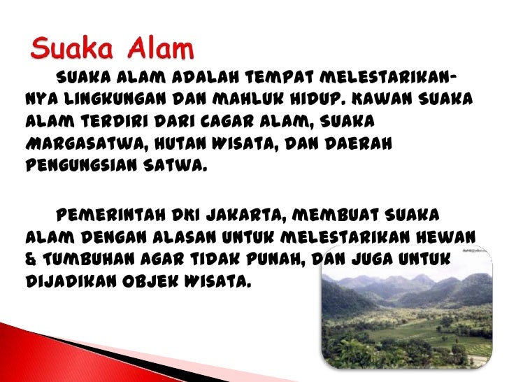 600 Gambar Cerita Lingkungan Hidup Hd Terbaik Gambar Id