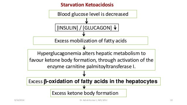 Ketone body Metabolism by Dr Ashok Kumar J