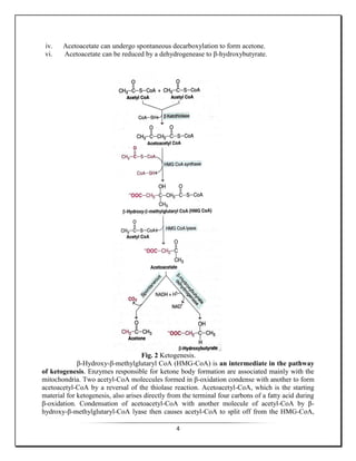 4
iv. Acetoacetate can undergo spontaneous decarboxylation to form acetone.
vi. Acetoacetate can be reduced by a dehydrogenease to β-hydroxybutyrate.
Fig. 2 Ketogenesis.
β-Hydroxy-β-methylglutaryl CoA (HMG-CoA) is an intermediate in the pathway
of ketogenesis. Enzymes responsible for ketone body formation are associated mainly with the
mitochondria. Two acetyl-CoA moleccules formed in β-oxidation condense with another to form
acetoacetyl-CoA by a reversal of the thiolase reaction. Acetoacetyl-CoA, which is the starting
material for ketogenesis, also arises directly from the terminal four carbons of a fatty acid during
β-oxidation. Condensation of acetoacetyl-CoA with another molecule of acetyl-CoA by β-
hydroxy-β-methylglutaryl-CoA lyase then causes acetyl-CoA to split off from the HMG-CoA,
 