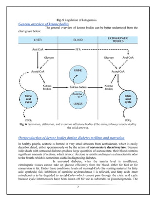 7
Fig. 5 Regulation of ketogenesis.
General overview of ketone bodies
The general overview of ketone bodies can be better understood from the
chart given below:
Fig. 6 Formation, utilization, and excretion of ketone bodies (The main pathway is indicated by
the solid arrows).
Overproduction of ketone bodies during diabetes mellitus and starvation
In healthy people, acetone is formed in very small amounts from acetoacetate, which is easily
decarboxylated, either spontaneously or by the action of acetoacetate decarboxylase. Because
individuals with untreated diabetes produce large quantities of acetoacetate, their blood contains
significant amounts of acetone, which is toxic. Acetone is volatile and imparts a characteristic odor
to the breath, which is sometimes useful in diagnosing diabetes.
In untreated diabetes, when the insulin level is insufficient,
extrahepatic tissues cannot take up glucose efficiently from the blood, either for fuel or for
conversion to fat. Under these conditions, levels of malonyl-CoA (the starting material for fatty
acid synthesis) fall, inhibition of carnitine acyltransferase I is relieved, and fatty acids enter
mitochondria to be degraded to acetyl-CoA—which cannot pass through the citric acid cycle
because cycle intermediates have been drawn off for use as substrates in gluconeogenesis. The
 