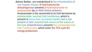 Ketone Bodies are metabolized in the mitochondria of
non hepatic tissues. Β-hydroxybutyrate
dehydrogenase converts β-hydroxybutyrate to
acetoacetate by an NAD-linked oxidation.
Acetoacetate is the converted to its CoA derivative by
acetoacetate: succinyl-CoA transferase, which is
present in tissue that use ketone bodies but is not
present in liver. Succinyl CoA serves as the source of
the CoA. β-ketothiolase converts the acetoacetyl CoA
into 2 acetyl CoAs, which enter the TCA cycle for
energy production.
 