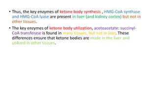 • Thus, the key enzymes of ketone body synthesis , HMG-CoA synthase
and HMG-CoA lyase are present in liver (and kidney cortex) but not in
other tissues.
• The key enzymes of ketone body utilization, acetoacetate: succinyl-
CoA transferase is found in many tissues, but not in liver. These
differences ensure that ketone bodies are made in the liver and
utilized in other tissues.
 