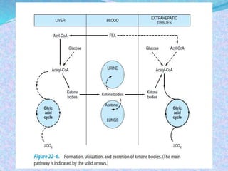 Ketone body metabolism | PPTX