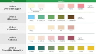 Ketone Bodies Estimation in Urine.biochemistry.pptx