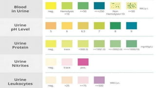 Ketone Bodies Estimation in Urine.biochemistry.pptx