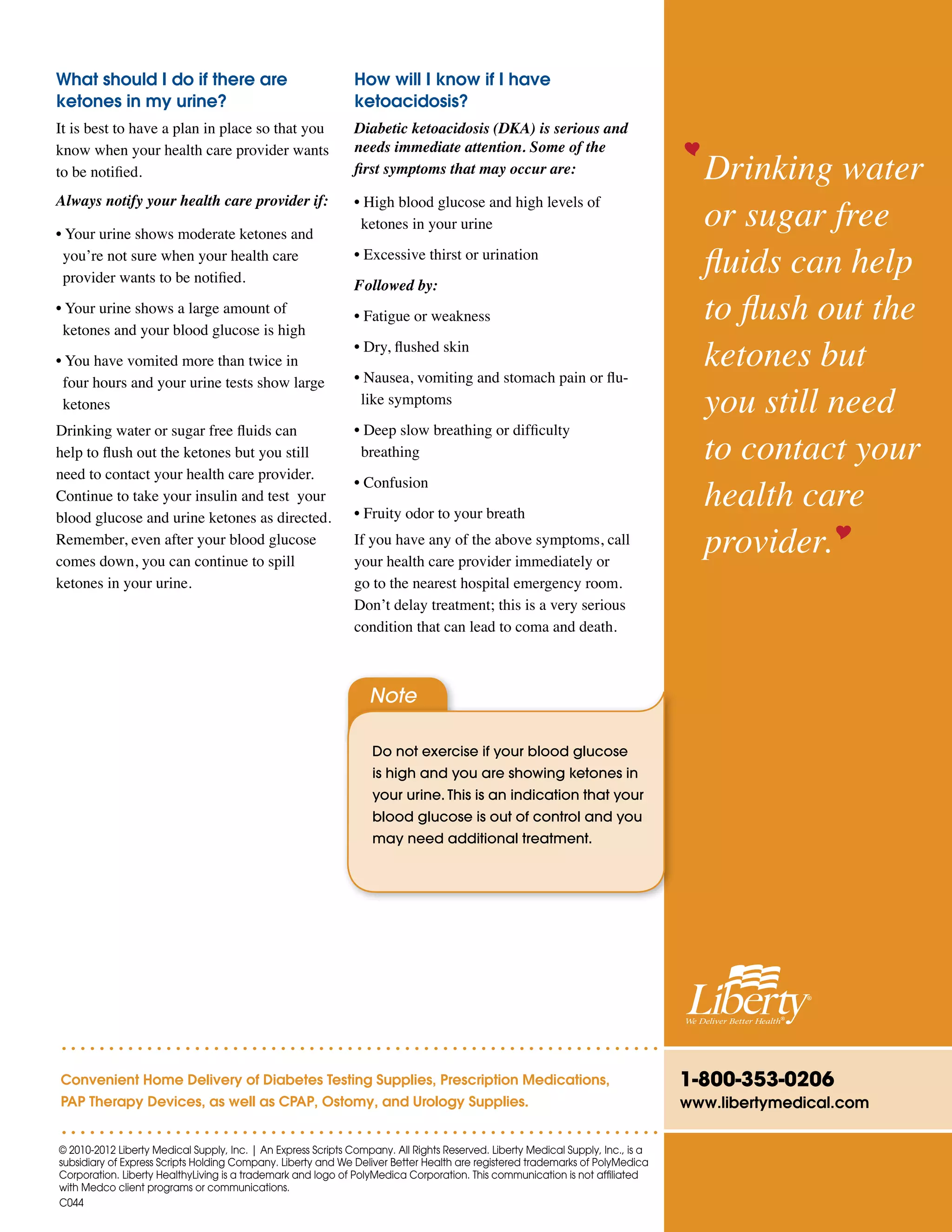 Checking Ketones: A Quick Guide to Ketones | PDF