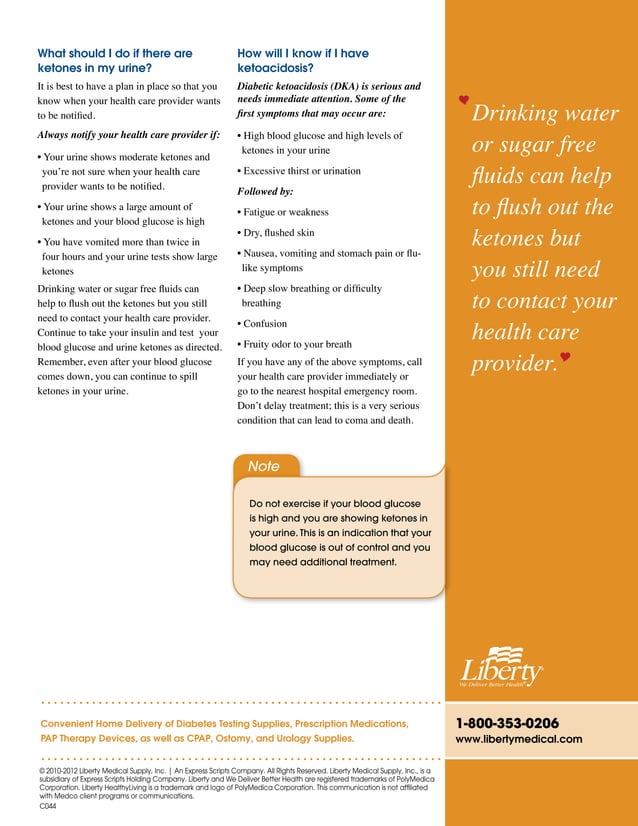 Checking Ketones: A Quick Guide to Ketones | PDF