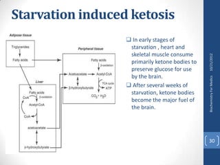 Starvation induced ketosis
                   In early stages of
                   starvation , heart and
                   skeletal muscle consume




                                                10/21/2012
                   primarily ketone bodies to
                   preserve glucose for use
                   by the brain.




                                                Biochemistry For Medics
                   After several weeks of
                   starvation, ketone bodies
                   become the major fuel of
                   the brain.




                                                30
 