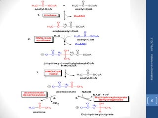 Biochemistry For Medics   10/21/2012
6
 