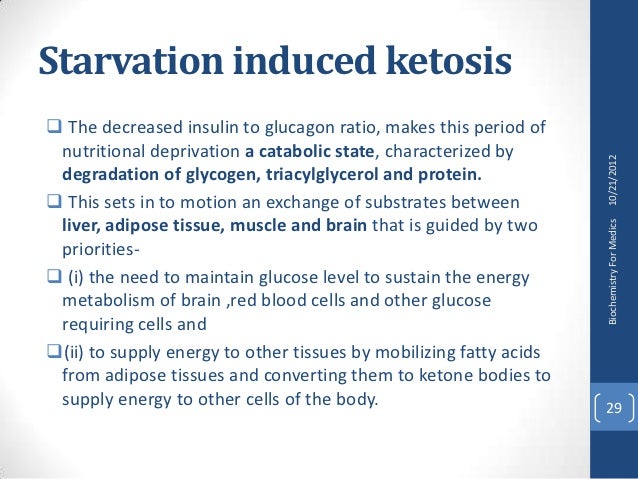 Ketosis Causes And Consequences ketosis-causes-and-consequences