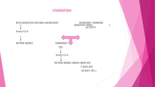 STARVATION
BETA OXIDATION ENZYMES (INCREASED) INCREASED HORMONE
SENSITIVE LIPASE I
ACTIVITY
Acetyl Co A
KETONE BODIES HORMONES
FFA
Acetyl Co A
KETONE BODIES (BRAIN 48HR-20%
7 DAYS-60%
40 DAYS 70% )
 
