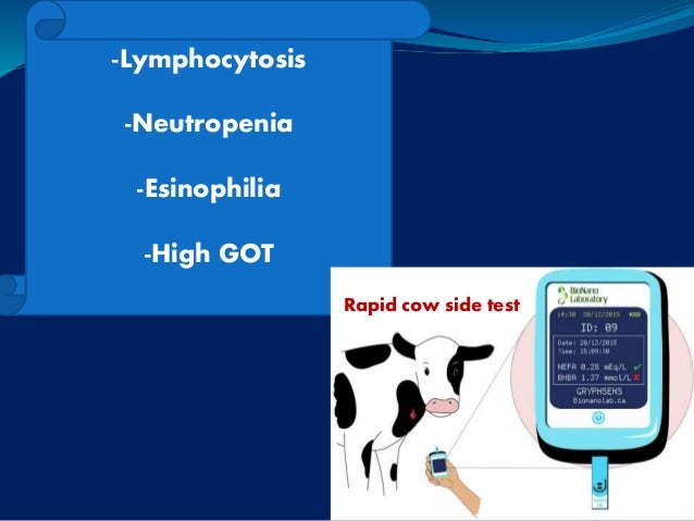 Ketosis 2018 كما لم تعرفها من قبل