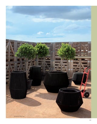 Manganèse / Black rope



                         107
 