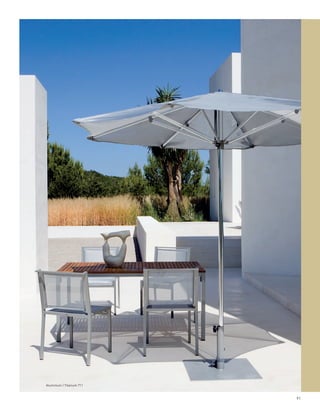 Aluminium / Titanium 711



                           91
 