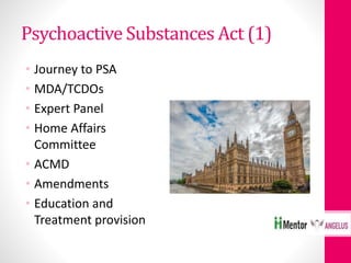 Psychoactive Substances Act (1)
• Journey to PSA
• MDA/TCDOs
• Expert Panel
• Home Affairs
Committee
• ACMD
• Amendments
• Education and
Treatment provision
 
