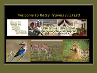 Welcome to  Ketty  Travels (TZ) Ltd 