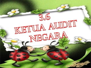 Ketua audit negara