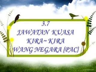 Ketua audit negara