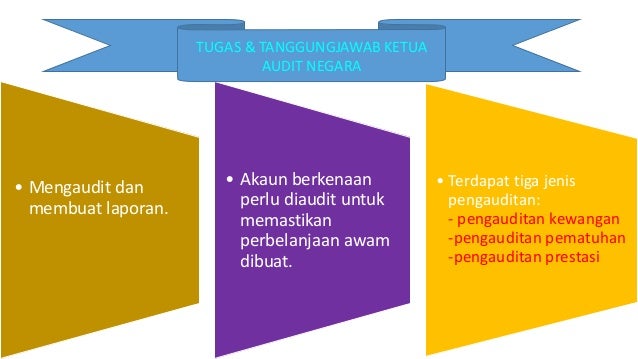Ketua Audit Negara