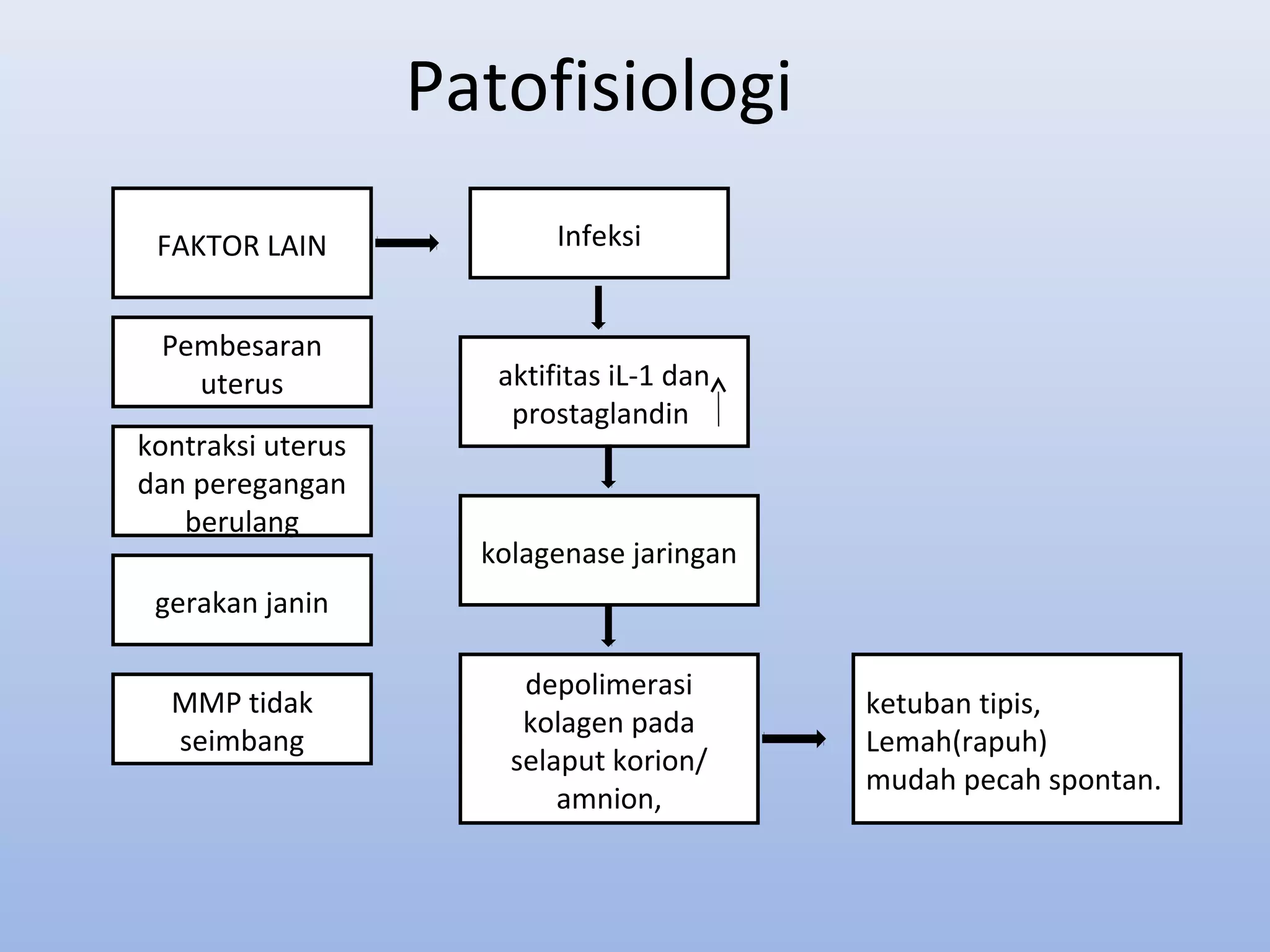 Patofisiologi
Infeksi
kontraksi uterus
dan peregangan
berulang
Pembesaran
uterus
gerakan janin
MMP tidak
seimbang
FAKTOR LAIN
aktifitas iL-1 dan
prostaglandin
kolagenase jaringan
depolimerasi
kolagen pada
selaput korion/
amnion,
ketuban tipis,
Lemah(rapuh)
mudah pecah spontan.
 