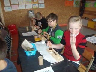 Boružiukų metraštis