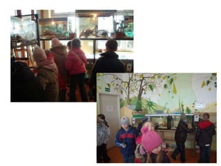 Boružiukų metraštis